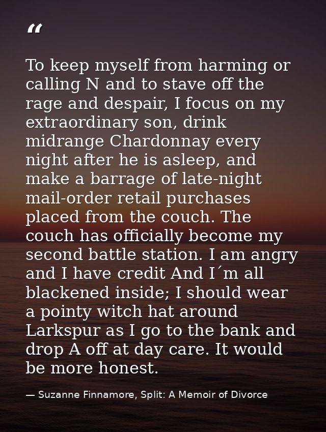 To keep myself from harming or calling N and to stave off the rage and despair, I focus on my extraordinary son, drink m — Suzanne Finnamore, Split: A Memoir of Divorce