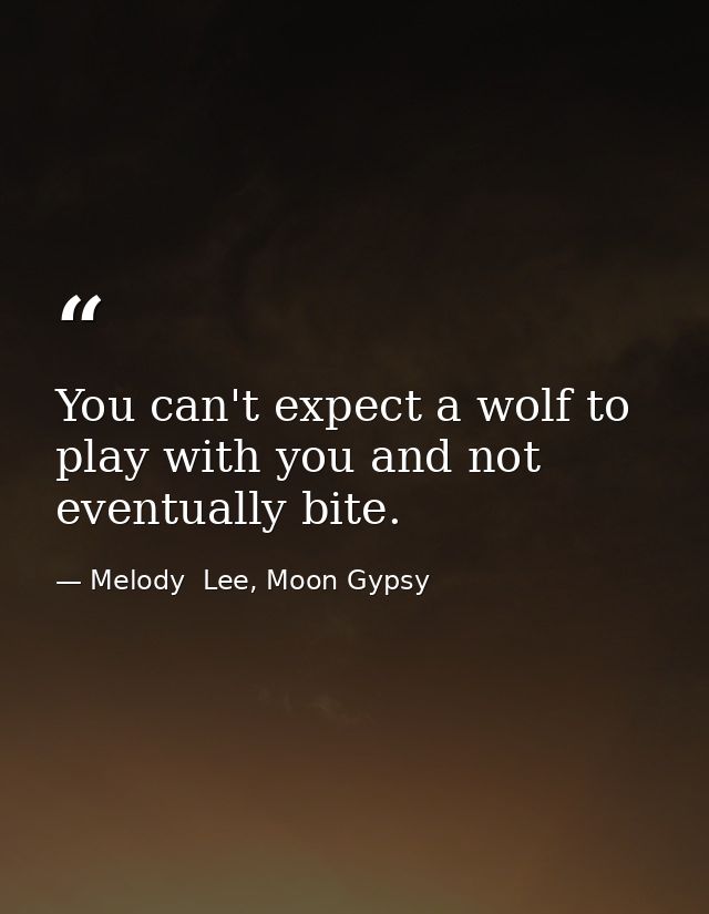 You can't expect a wolf to play with you and not eventually bite. — Melody  Lee, Moon Gypsy
