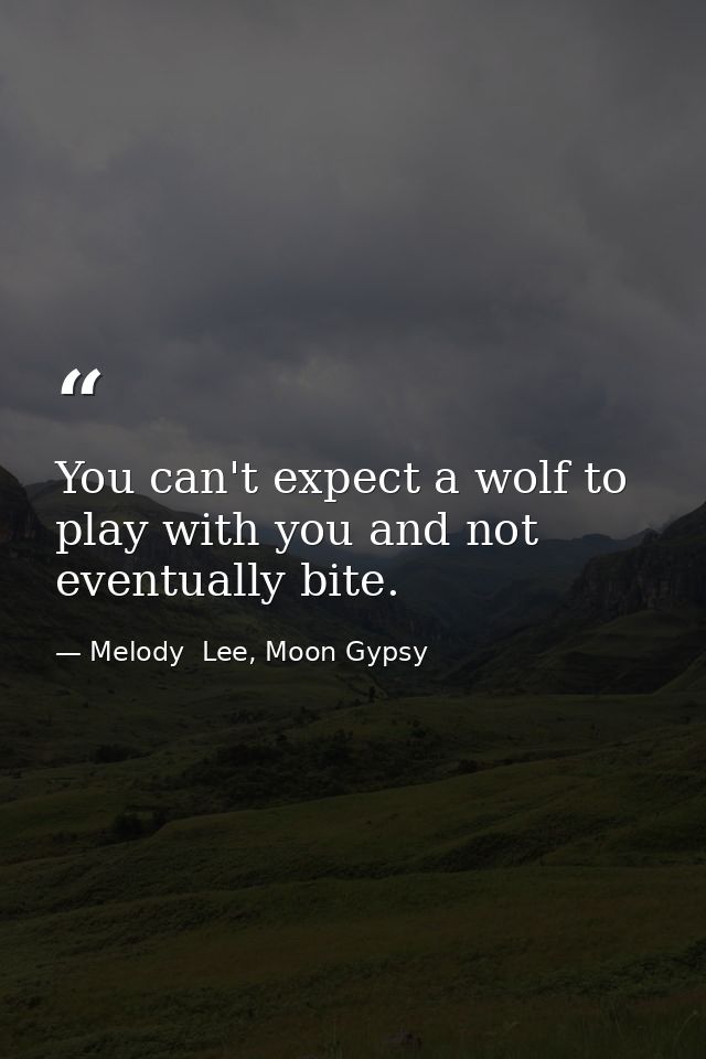 You can't expect a wolf to play with you and not eventually bite. — Melody  Lee, Moon Gypsy