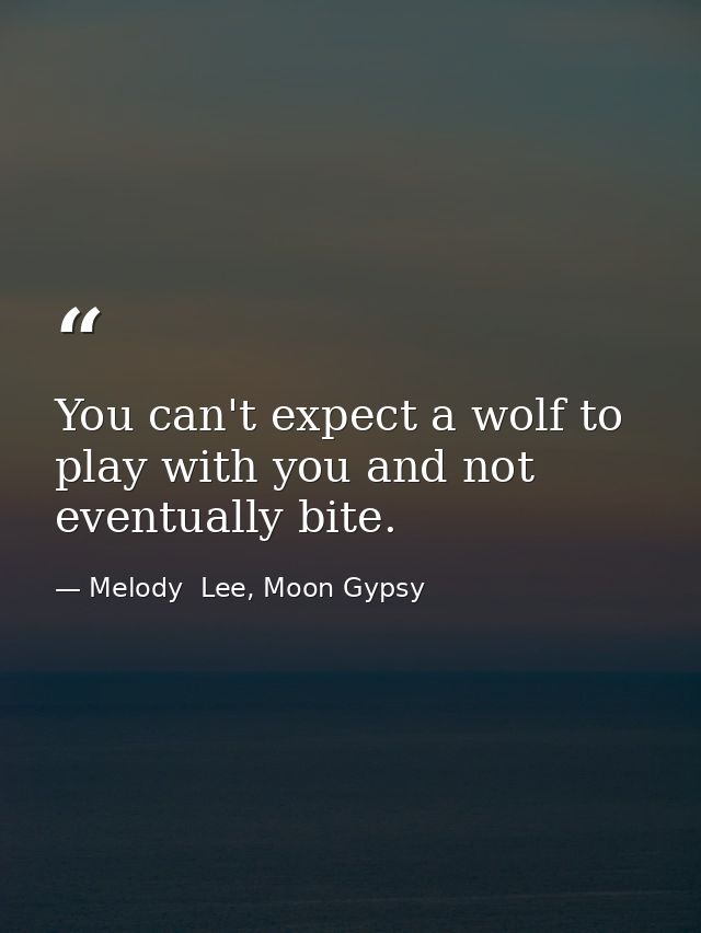 You can't expect a wolf to play with you and not eventually bite. — Melody  Lee, Moon Gypsy