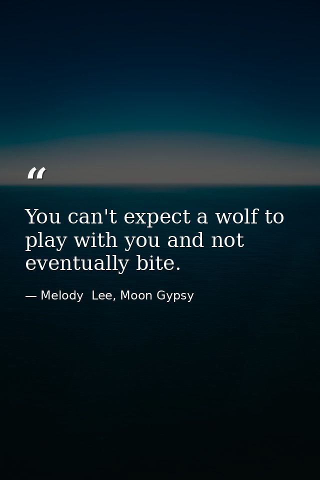 You can't expect a wolf to play with you and not eventually bite. — Melody  Lee, Moon Gypsy