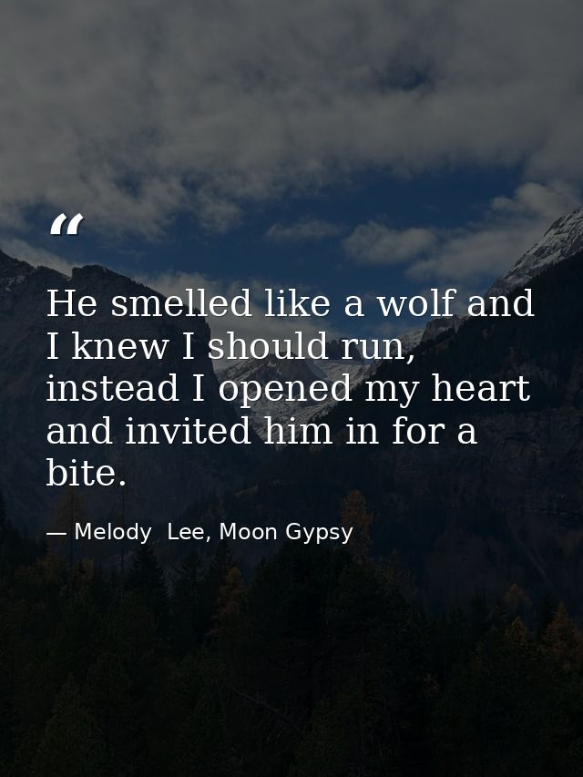 He smelled like a wolf and I knew I should run, instead I opened my heart and invited him in for a bite. — Melody  Lee, Moon Gypsy