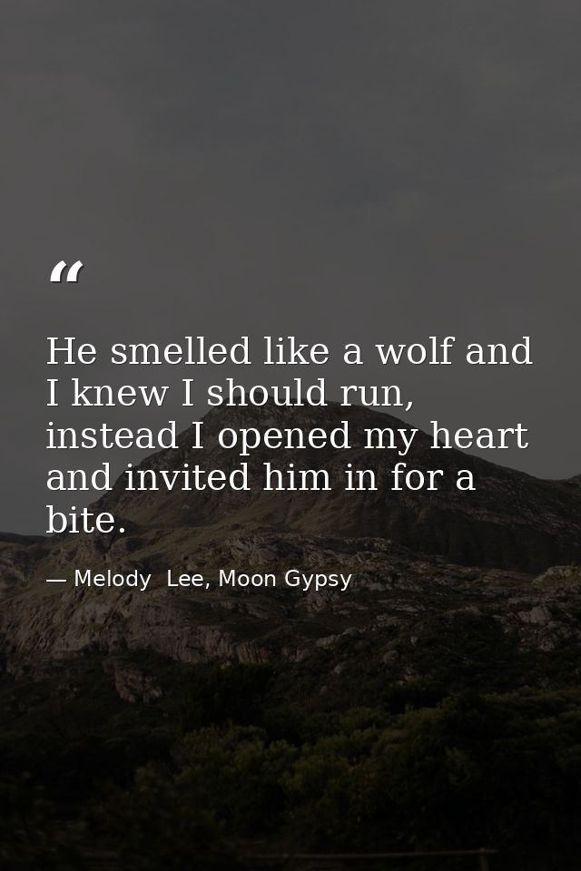 He smelled like a wolf and I knew I should run, instead I opened my heart and invited him in for a bite. — Melody  Lee, Moon Gypsy