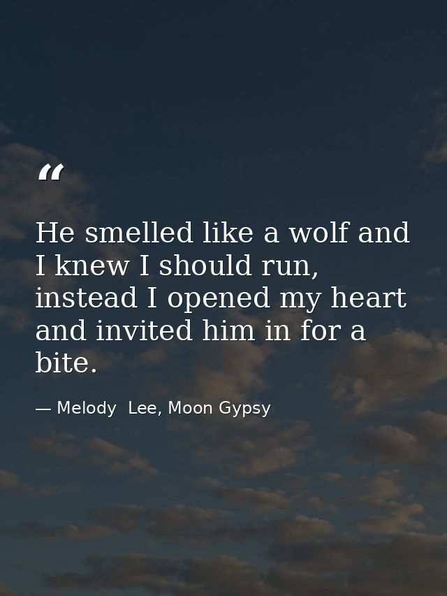 He smelled like a wolf and I knew I should run, instead I opened my heart and invited him in for a bite. — Melody  Lee, Moon Gypsy