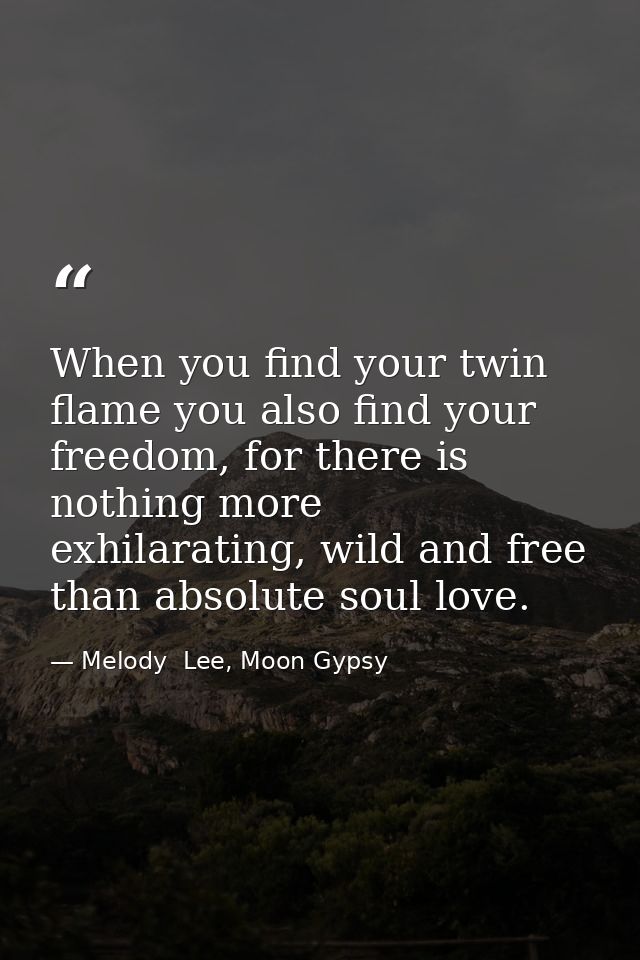 When you find your twin flame you also find your freedom, for there is nothing more exhilarating, wild and free than abs — Melody  Lee, Moon Gypsy