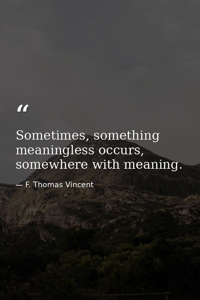Sometimes, something meaningless occurs, somewhere with meaning. — F. Thomas Vincent