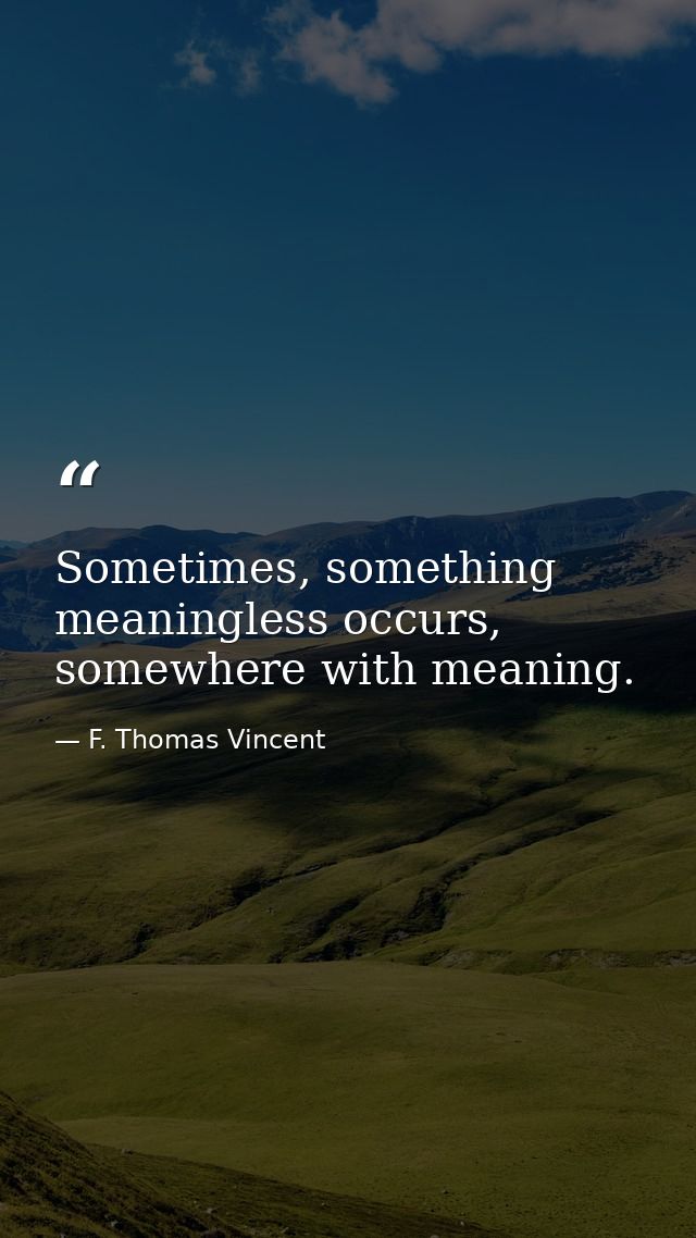 Sometimes, something meaningless occurs, somewhere with meaning. — F. Thomas Vincent