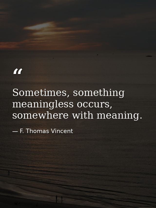 Sometimes, something meaningless occurs, somewhere with meaning. — F. Thomas Vincent