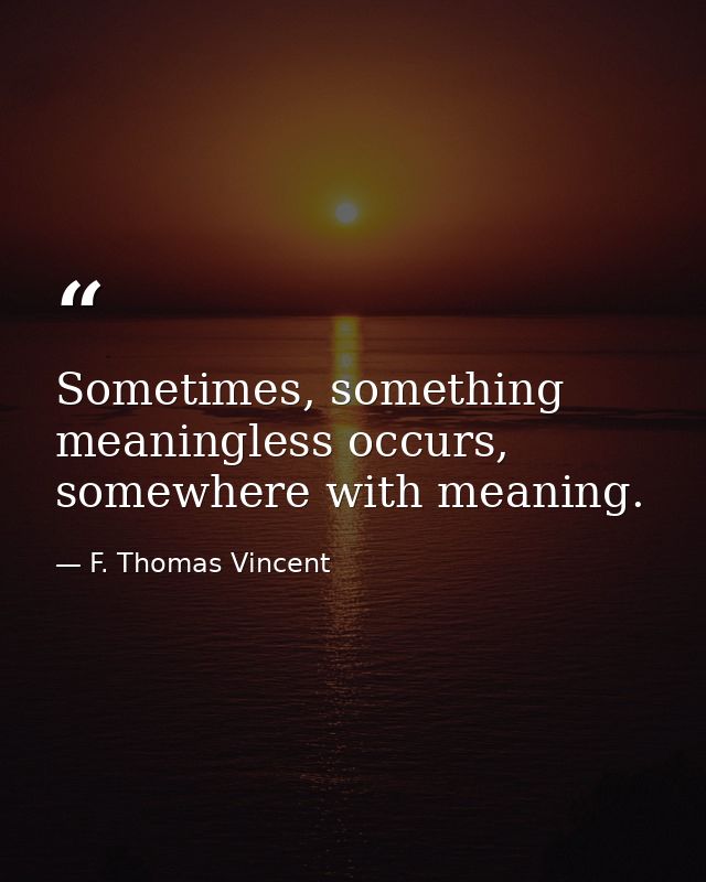 Sometimes, something meaningless occurs, somewhere with meaning. — F. Thomas Vincent