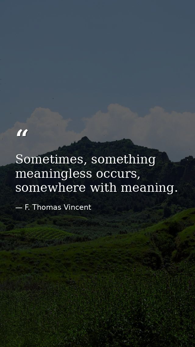 Sometimes, something meaningless occurs, somewhere with meaning. — F. Thomas Vincent