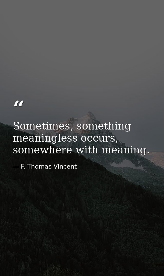Sometimes, something meaningless occurs, somewhere with meaning. — F. Thomas Vincent