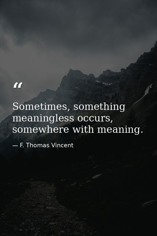 Sometimes, something meaningless occurs, somewhere with meaning. — F. Thomas Vincent