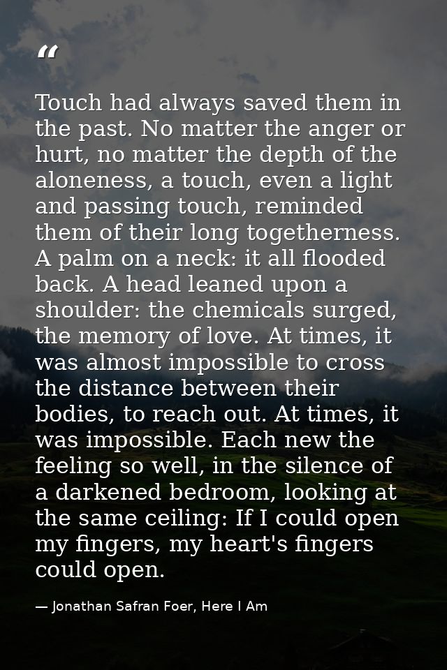 Touch had always saved them in the past. No matter the anger or hurt, no matter the depth of the aloneness, a touch, eve — Jonathan Safran Foer, Here I Am