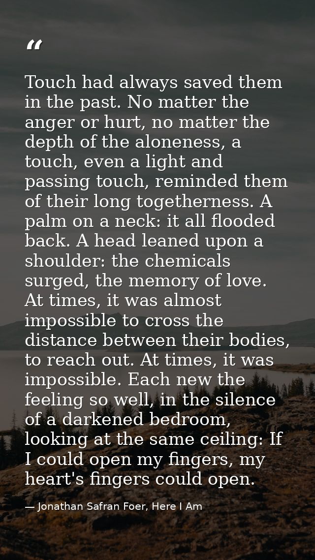 Touch had always saved them in the past. No matter the anger or hurt, no matter the depth of the aloneness, a touch, eve — Jonathan Safran Foer, Here I Am