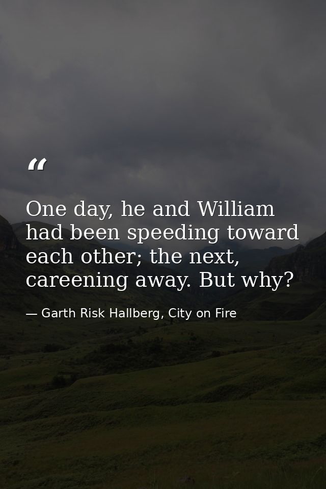 One day, he and William had been speeding toward each other; the next, careening away. But why? — Garth Risk Hallberg, City on Fire
