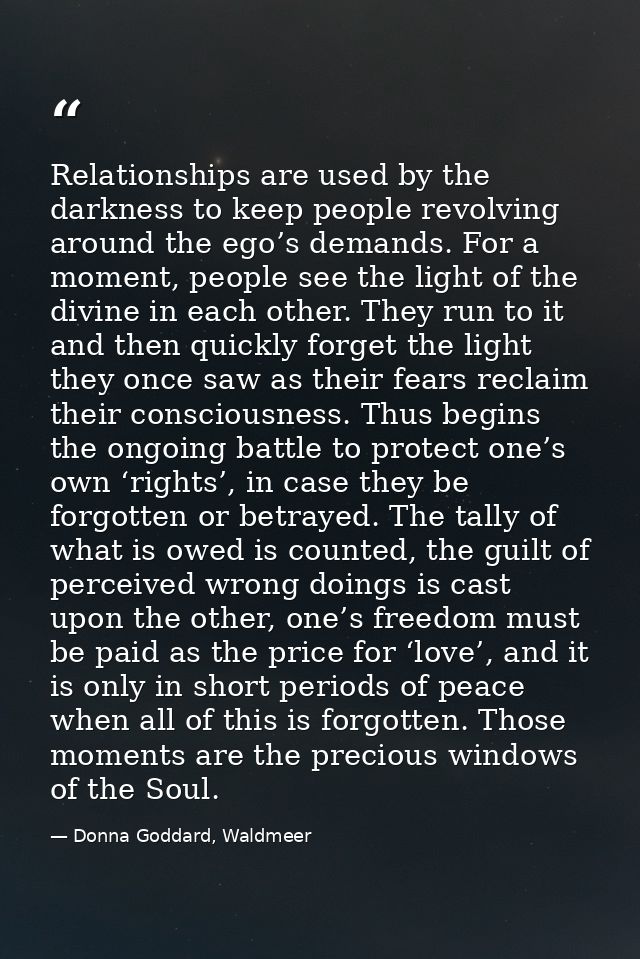 Relationships are used by the darkness to keep people revolving around the ego’s demands. For a moment, people see the l — Donna Goddard, Waldmeer