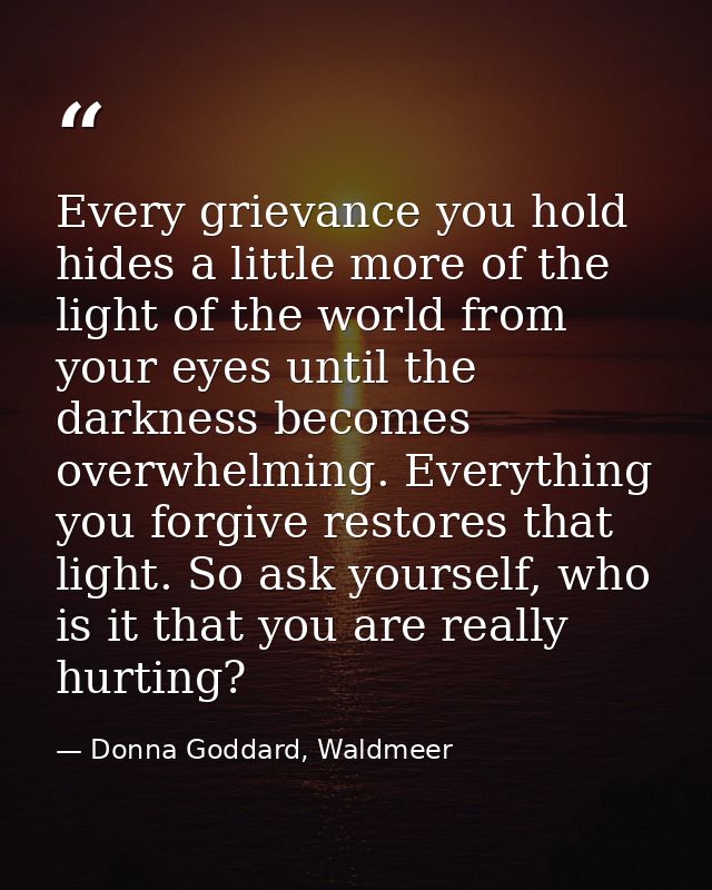 Every grievance you hold hides a little more of the light of the world from your eyes until the darkness becomes overwhe — Donna Goddard, Waldmeer