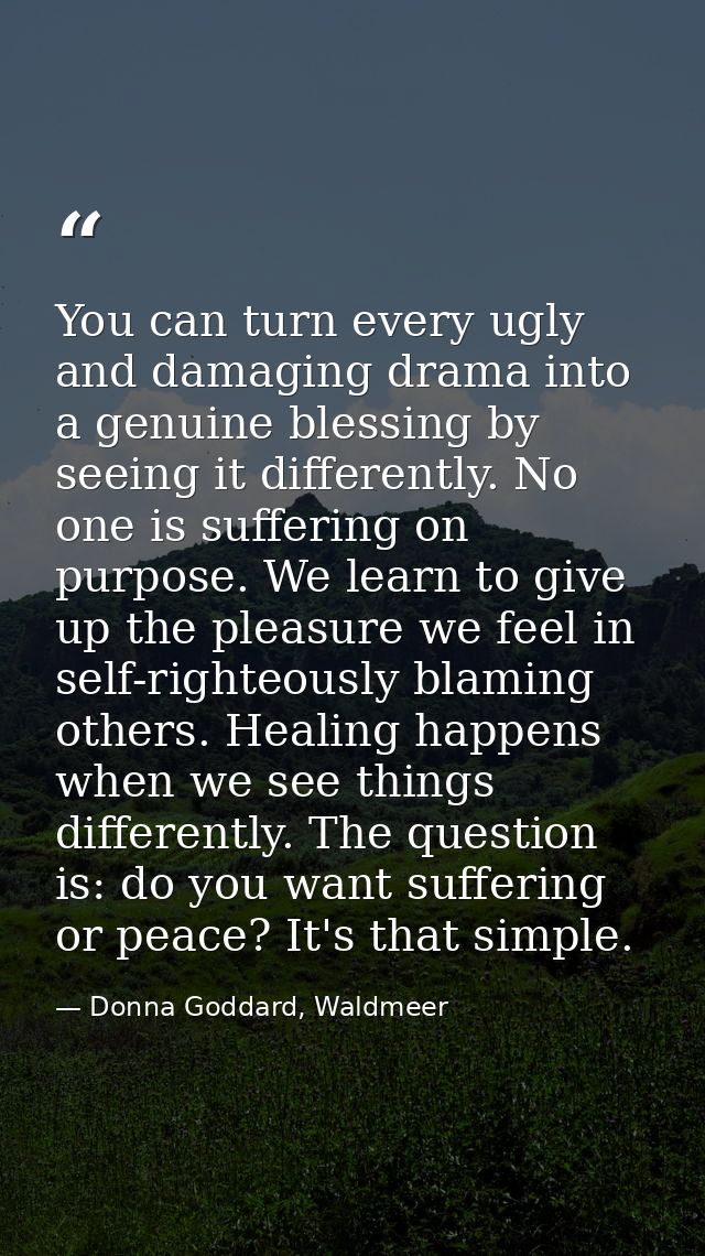 You can turn every ugly and damaging drama into a genuine blessing by seeing it differently. No one is suffering on purp — Donna Goddard, Waldmeer