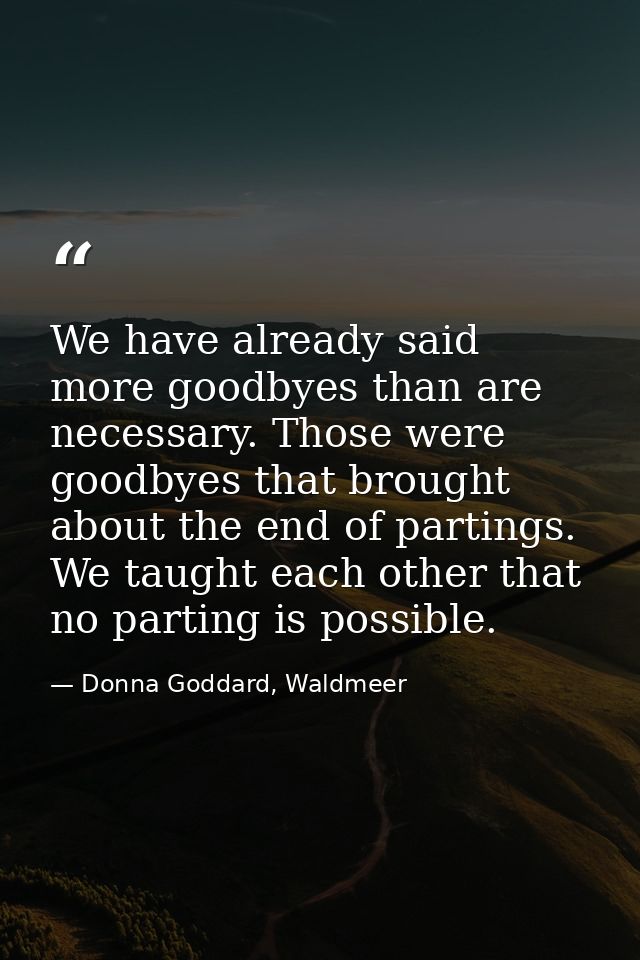 We have already said more goodbyes than are necessary. Those were goodbyes that brought about the end of partings. We ta — Donna Goddard, Waldmeer