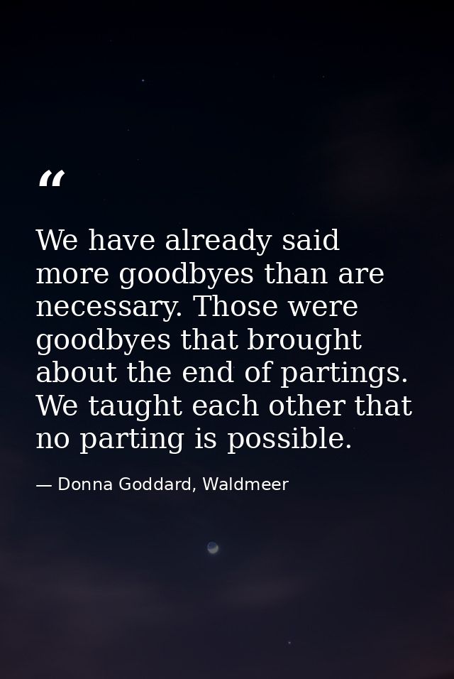 We have already said more goodbyes than are necessary. Those were goodbyes that brought about the end of partings. We ta — Donna Goddard, Waldmeer