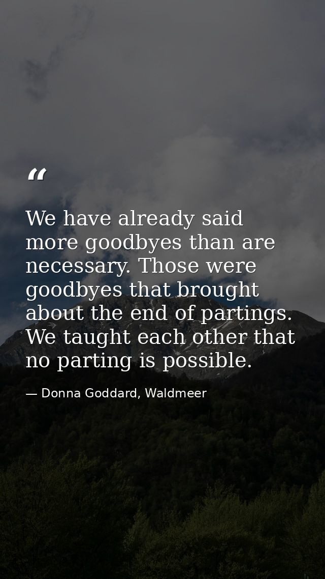 We have already said more goodbyes than are necessary. Those were goodbyes that brought about the end of partings. We ta — Donna Goddard, Waldmeer