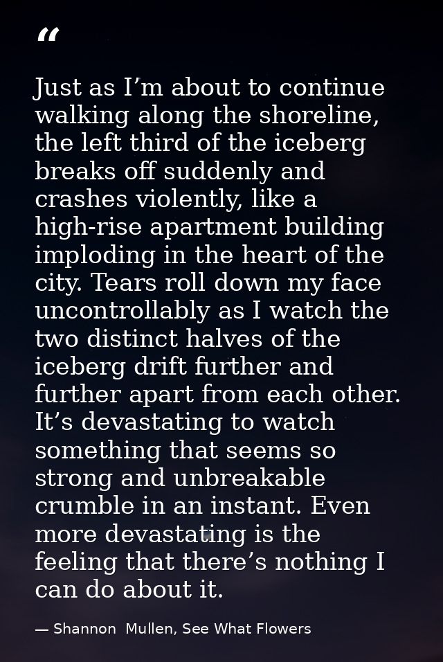 Just as I’m about to continue walking along the shoreline, the left third of the iceberg breaks off suddenly and crashes — Shannon  Mullen, See What Flowers