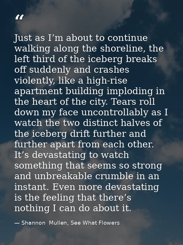 Just as I’m about to continue walking along the shoreline, the left third of the iceberg breaks off suddenly and crashes — Shannon  Mullen, See What Flowers