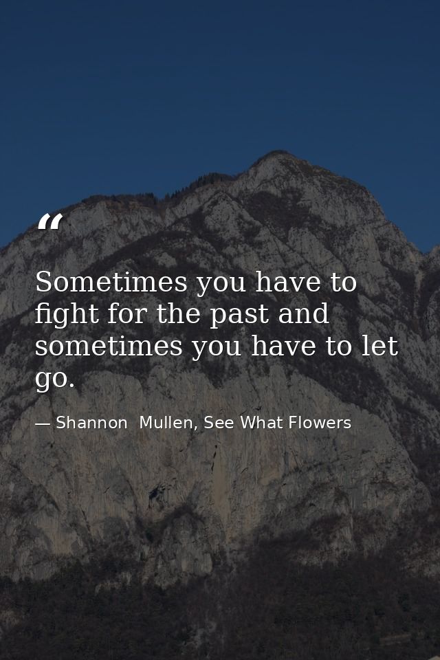Sometimes you have to fight for the past and sometimes you have to let go. — Shannon  Mullen, See What Flowers