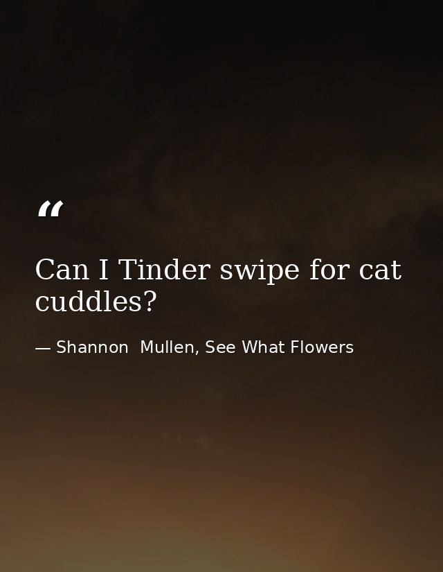 Can I Tinder swipe for cat cuddles? — Shannon  Mullen, See What Flowers