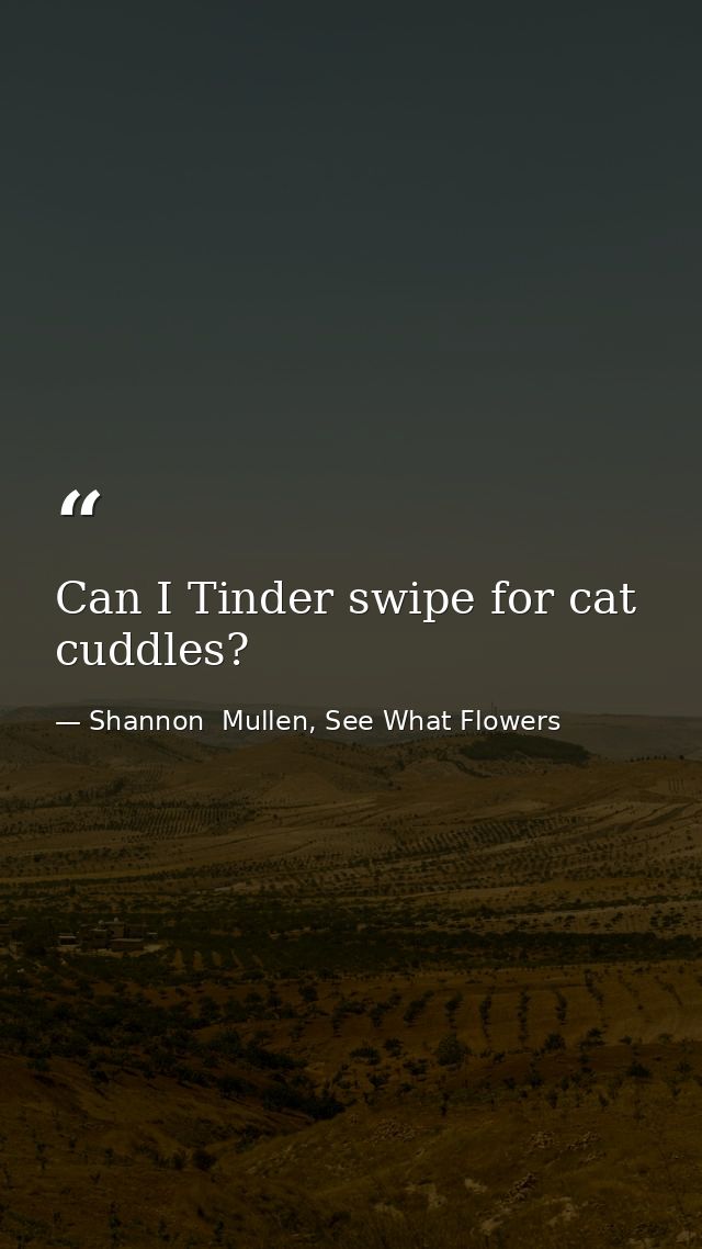 Can I Tinder swipe for cat cuddles? — Shannon  Mullen, See What Flowers