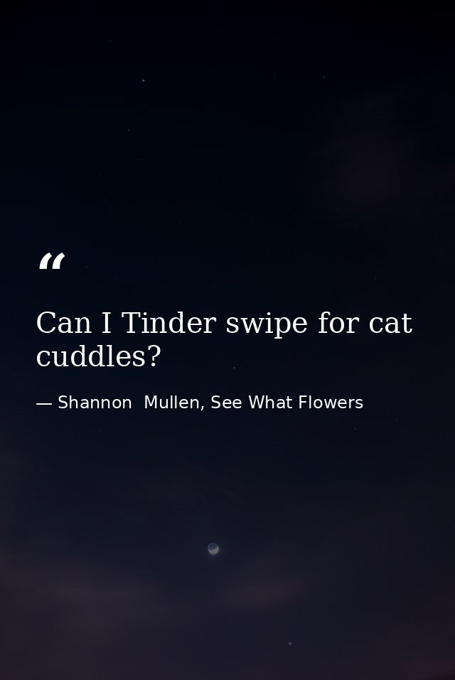 Can I Tinder swipe for cat cuddles? — Shannon  Mullen, See What Flowers