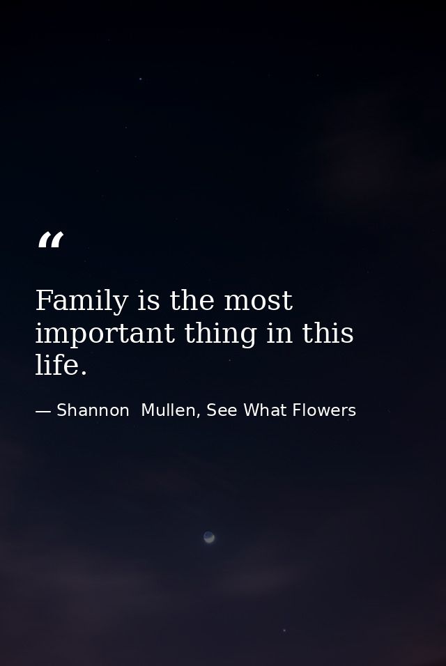 Family is the most important thing in this life. — Shannon  Mullen, See What Flowers