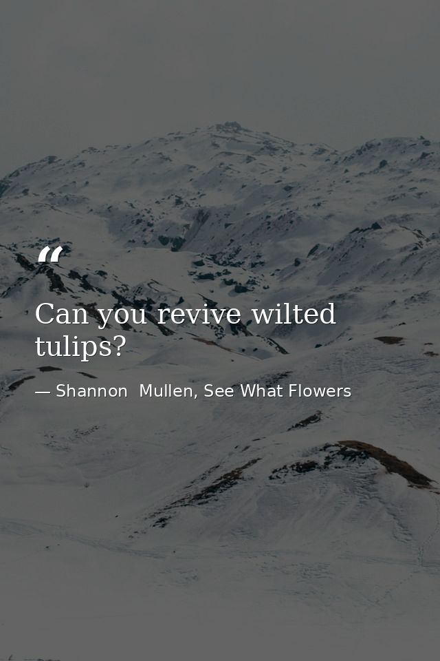 Can you revive wilted tulips? — Shannon  Mullen, See What Flowers