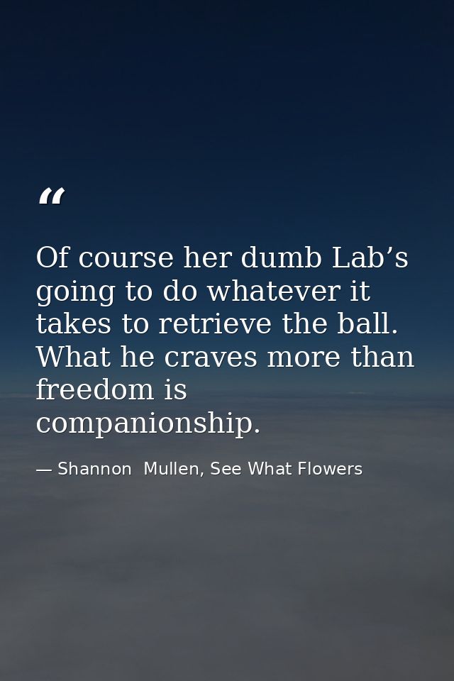 Of course her dumb Lab’s going to do whatever it takes to retrieve the ball. What he craves more than freedom is compani — Shannon  Mullen, See What Flowers