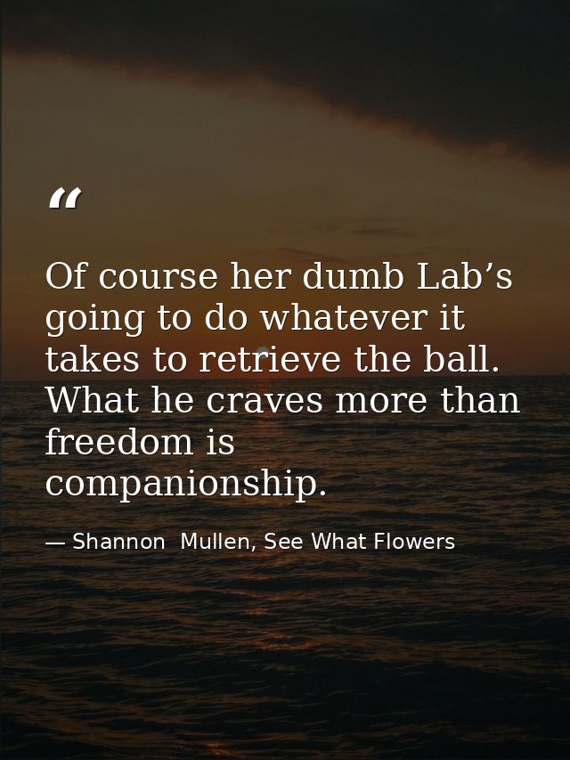 Of course her dumb Lab’s going to do whatever it takes to retrieve the ball. What he craves more than freedom is compani — Shannon  Mullen, See What Flowers