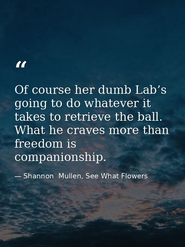 Of course her dumb Lab’s going to do whatever it takes to retrieve the ball. What he craves more than freedom is compani — Shannon  Mullen, See What Flowers