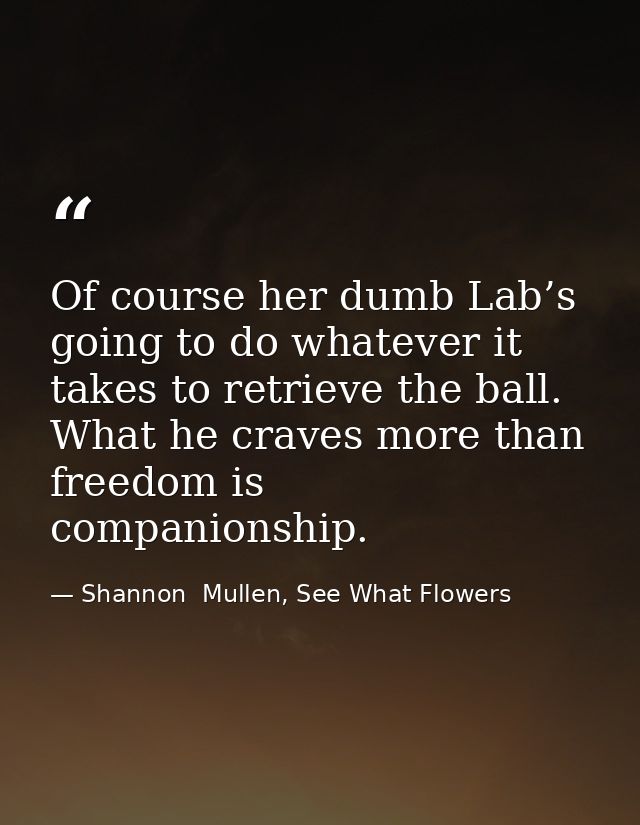 Of course her dumb Lab’s going to do whatever it takes to retrieve the ball. What he craves more than freedom is compani — Shannon  Mullen, See What Flowers
