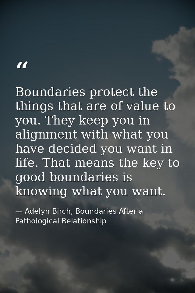 Boundaries protect the things that are of value to you. They keep you in alignment with what you have decided you want i — Adelyn Birch, Boundaries After a Pathological Relationship