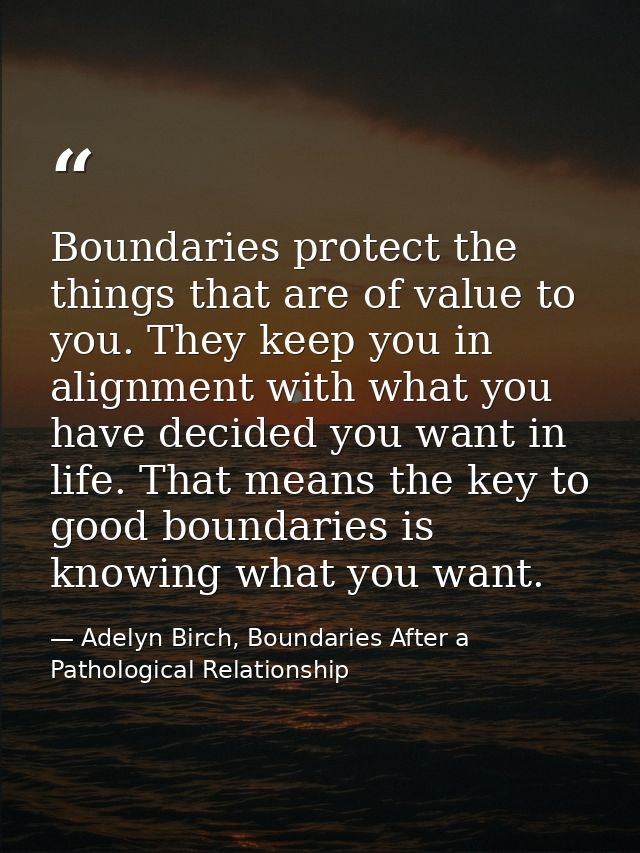 Boundaries protect the things that are of value to you. They keep you in alignment with what you have decided you want i — Adelyn Birch, Boundaries After a Pathological Relationship