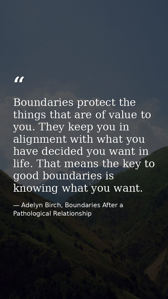 Boundaries protect the things that are of value to you. They keep you in alignment with what you have decided you want i — Adelyn Birch, Boundaries After a Pathological Relationship