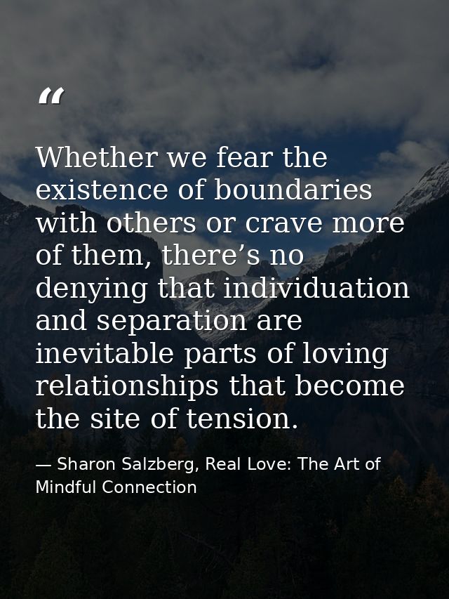Whether we fear the existence of boundaries with others or crave more of them, there’s no denying that individuation and — Sharon Salzberg, Real Love: The Art of Mindful Connection