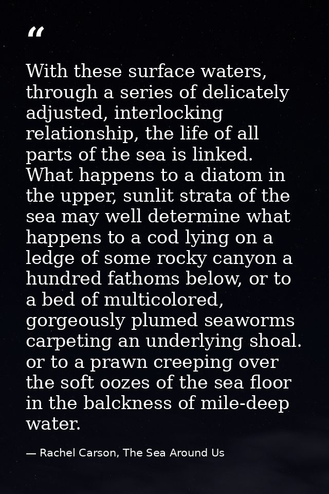 With these surface waters, through a series of delicately adjusted, interlocking relationship, the life of all parts of  — Rachel Carson, The Sea Around Us
