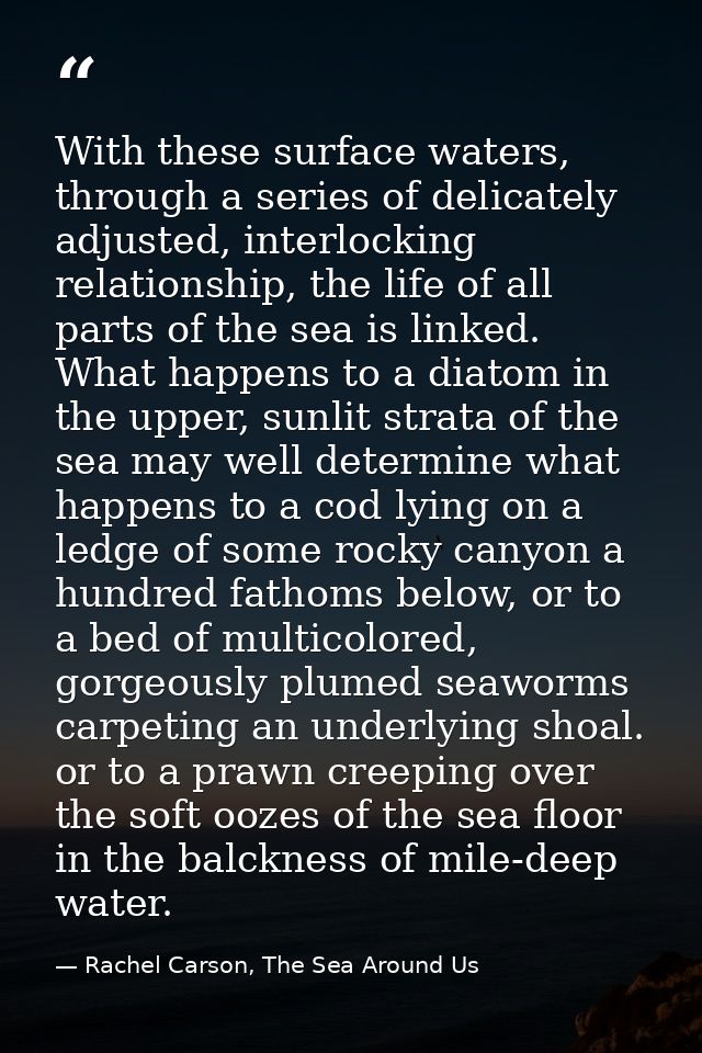 With these surface waters, through a series of delicately adjusted, interlocking relationship, the life of all parts of  — Rachel Carson, The Sea Around Us