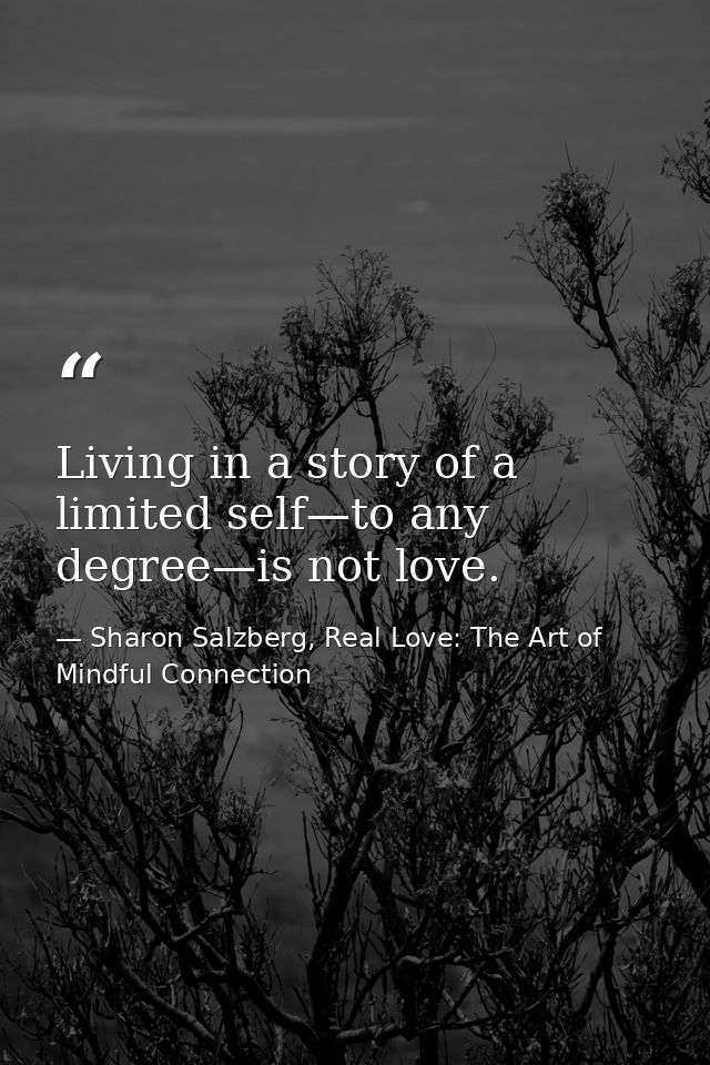 Living in a story of a limited self—to any degree—is not love. — Sharon Salzberg, Real Love: The Art of Mindful Connection