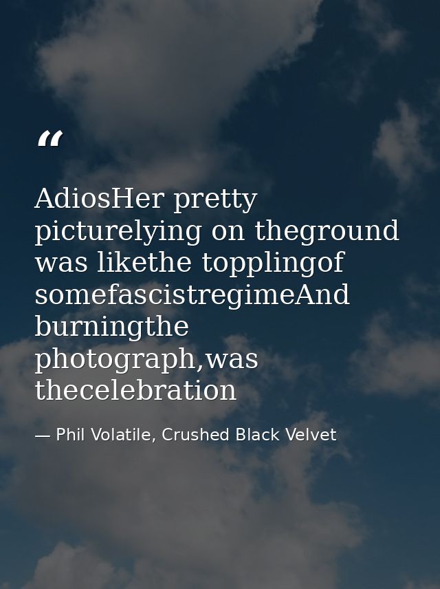 AdiosHer pretty picturelying on theground was likethe topplingof somefascistregimeAnd burningthe photograph,was theceleb — Phil Volatile, Crushed Black Velvet