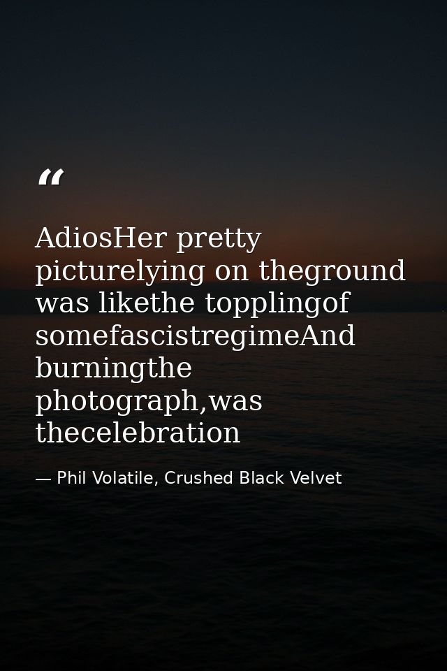 AdiosHer pretty picturelying on theground was likethe topplingof somefascistregimeAnd burningthe photograph,was theceleb — Phil Volatile, Crushed Black Velvet