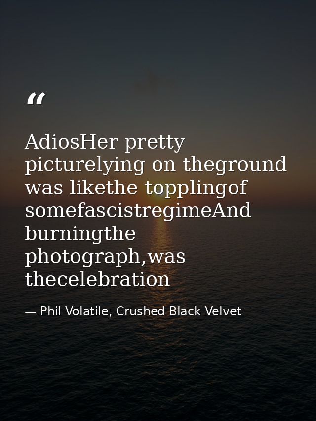 AdiosHer pretty picturelying on theground was likethe topplingof somefascistregimeAnd burningthe photograph,was theceleb — Phil Volatile, Crushed Black Velvet