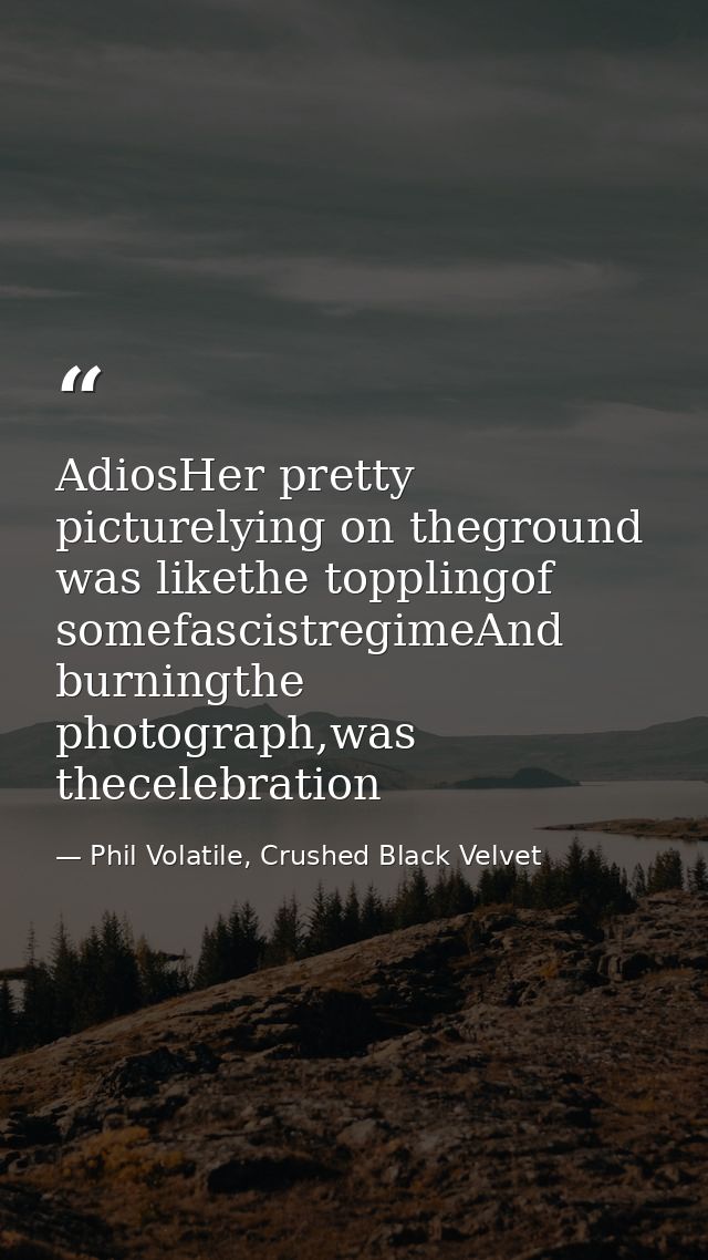 AdiosHer pretty picturelying on theground was likethe topplingof somefascistregimeAnd burningthe photograph,was theceleb — Phil Volatile, Crushed Black Velvet