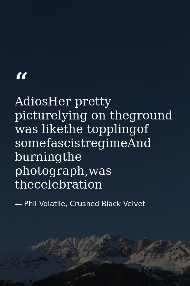 AdiosHer pretty picturelying on theground was likethe topplingof somefascistregimeAnd burningthe photograph,was theceleb — Phil Volatile, Crushed Black Velvet