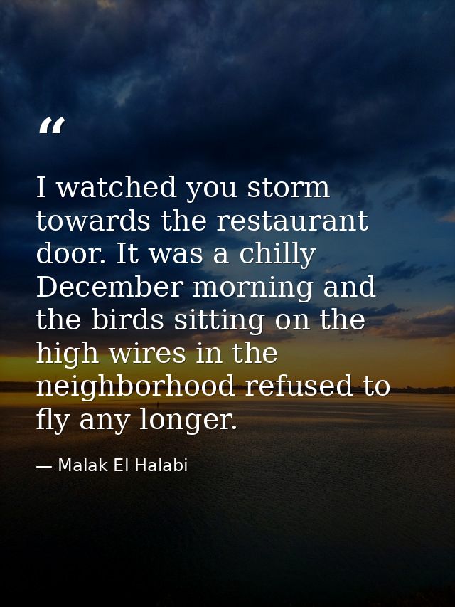 I watched you storm towards the restaurant door. It was a chilly December morning and the birds sitting on the high wire — Malak El Halabi
